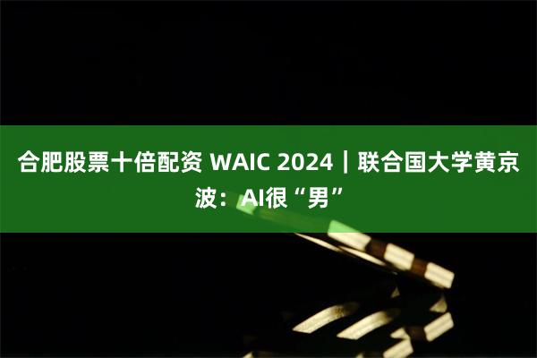 合肥股票十倍配资 WAIC 2024｜联合国大学黄京波：AI很“男”