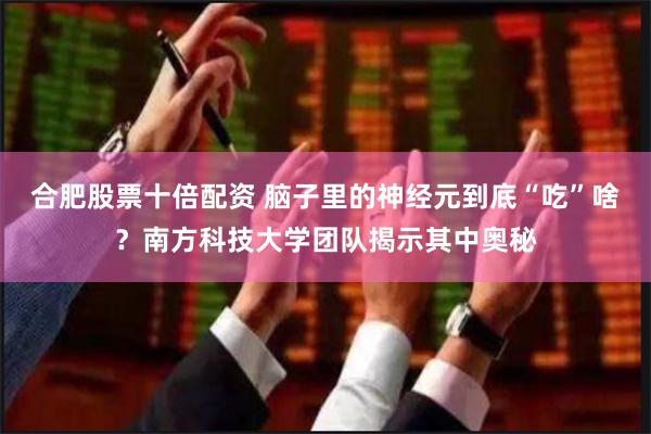 合肥股票十倍配资 脑子里的神经元到底“吃”啥？南方科技大学团队揭示其中奥秘