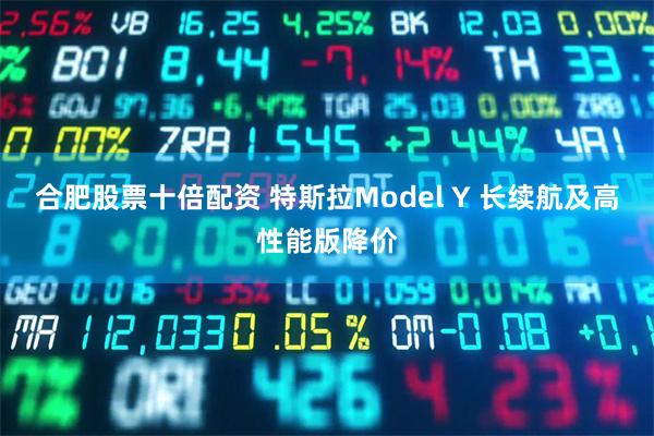 合肥股票十倍配资 特斯拉Model Y 长续航及高性能版降价