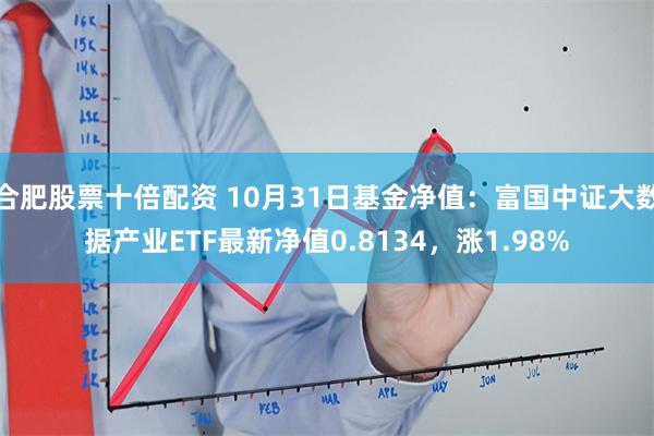 合肥股票十倍配资 10月31日基金净值：富国中证大数据产业ETF最新净值0.8134，涨1.98%